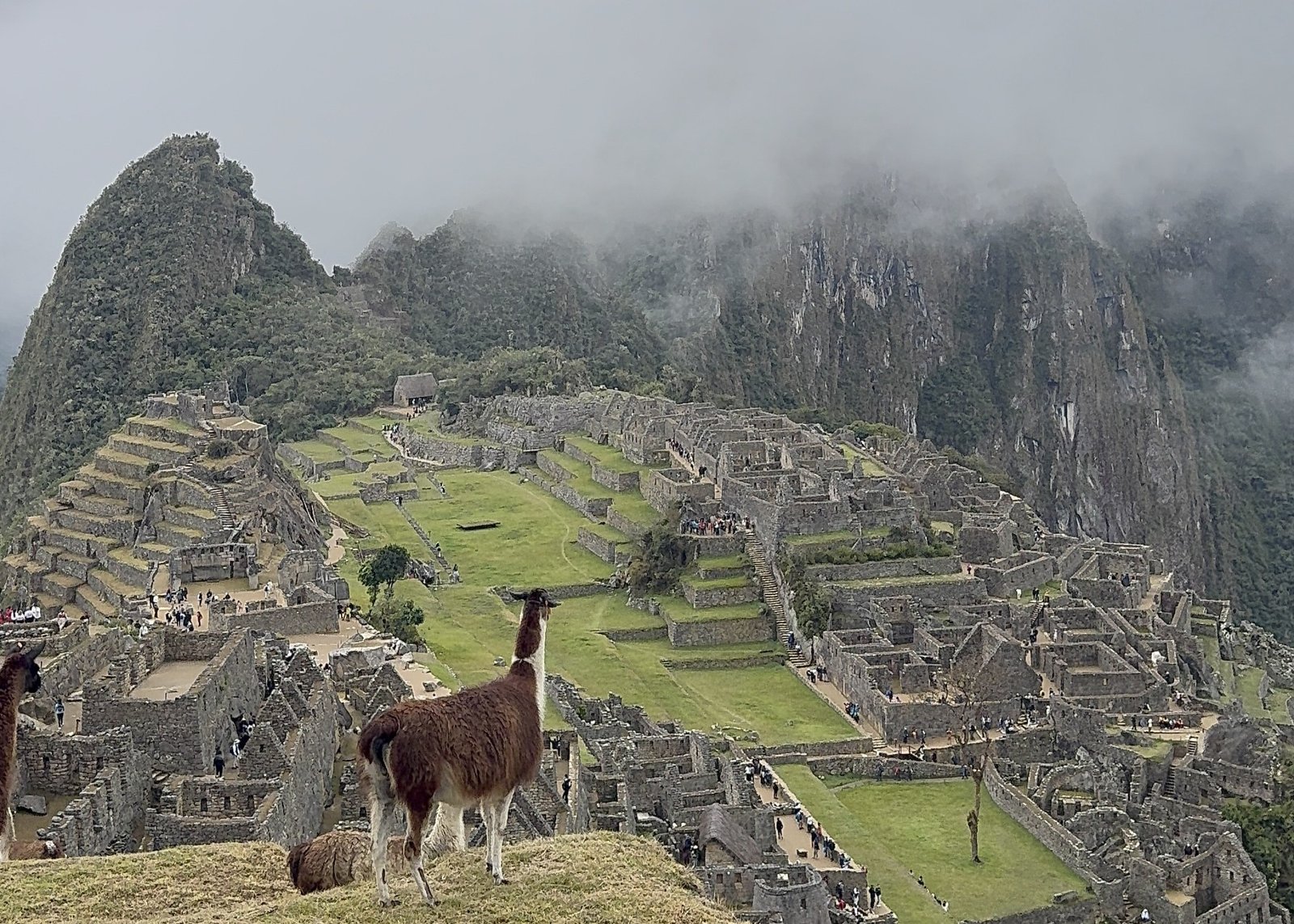 Equipo de Viajes en Oferta en oficina